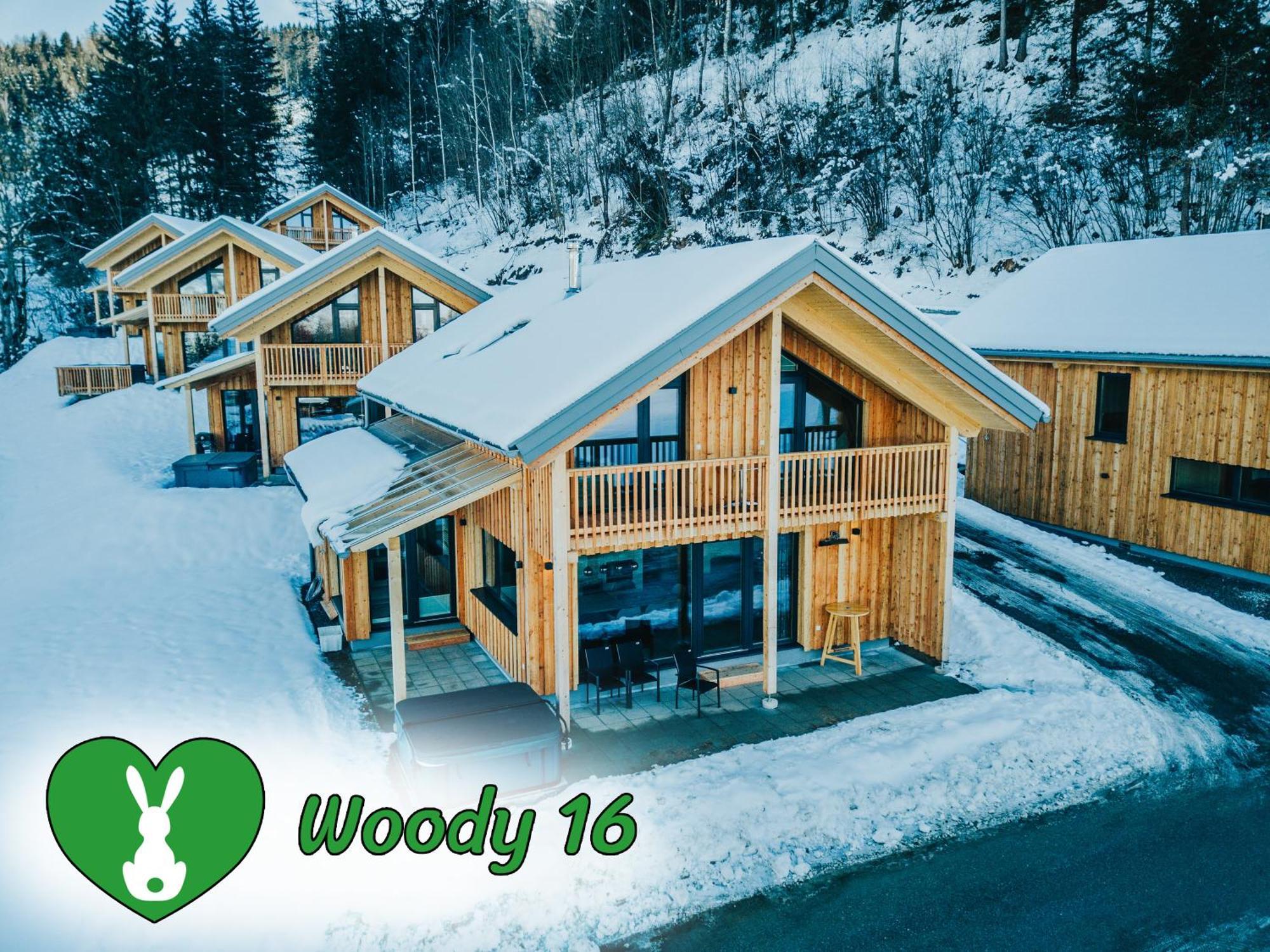 Villa Woody Park Sankt Georgen ob Murau Exterior foto