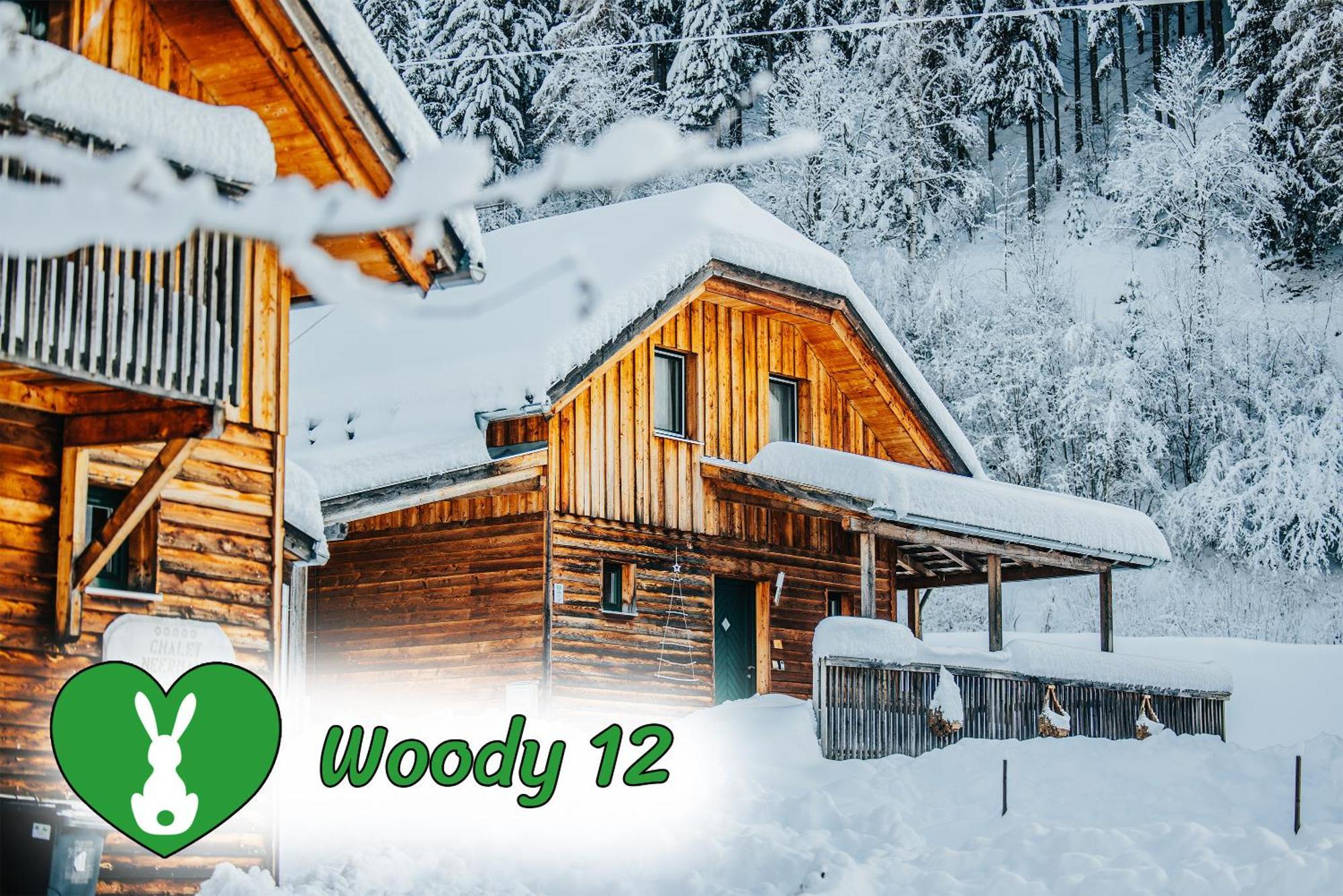 Villa Woody Park Sankt Georgen ob Murau Exterior foto